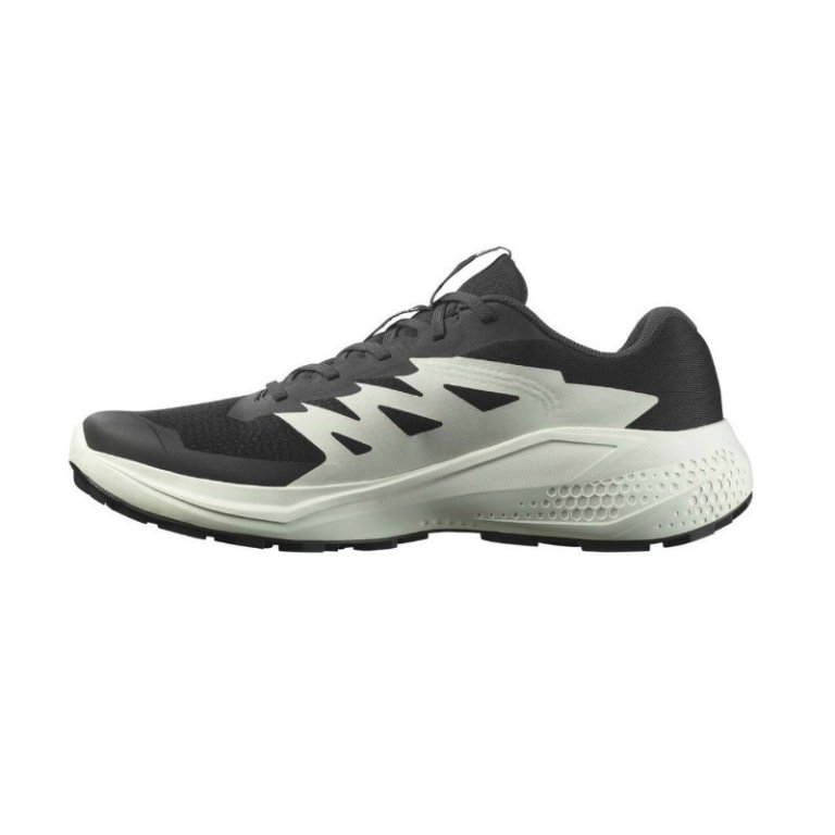 Кросівки Salomon Alphaglide M - чорно/білі