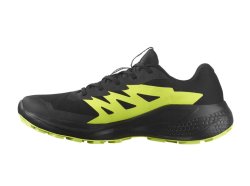 Кросівки Salomon Alphaglide GTX M - чорно / зелені