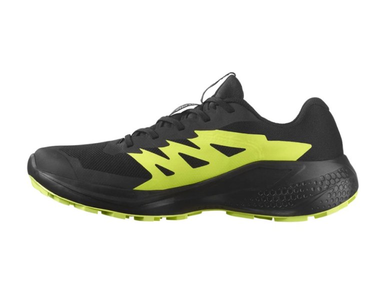 Кросівки Salomon Alphaglide GTX M - чорно / зелені