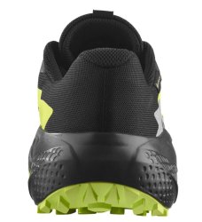 Кросівки Salomon Alphaglide GTX M - чорно / зелені