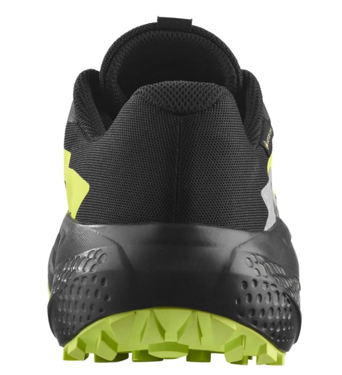 Кросівки Salomon Alphaglide GTX M - чорно / зелені
