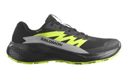Кросівки Salomon Alphaglide GTX M - чорно / зелені