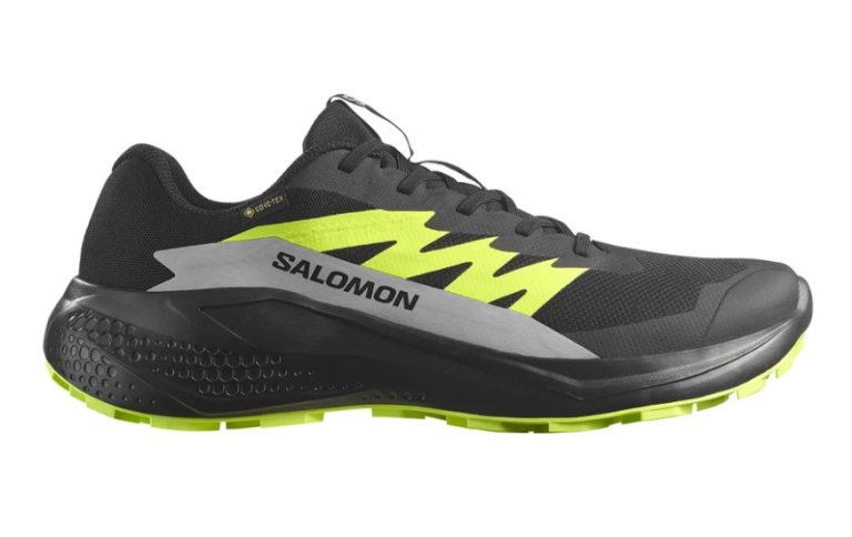Кросівки Salomon Alphaglide GTX M - чорно / зелені