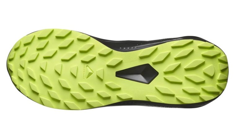 Кросівки Salomon Alphaglide GTX M - чорно / зелені