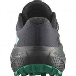 Obuv Salomon Alphaglide GTX W - černá/modrá