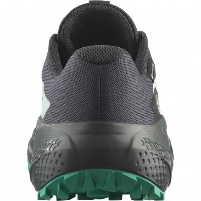 Obuv Salomon Alphaglide GTX W - černá/modrá