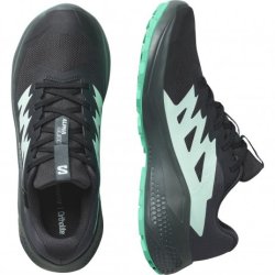 Obuv Salomon Alphaglide GTX W - černá/modrá