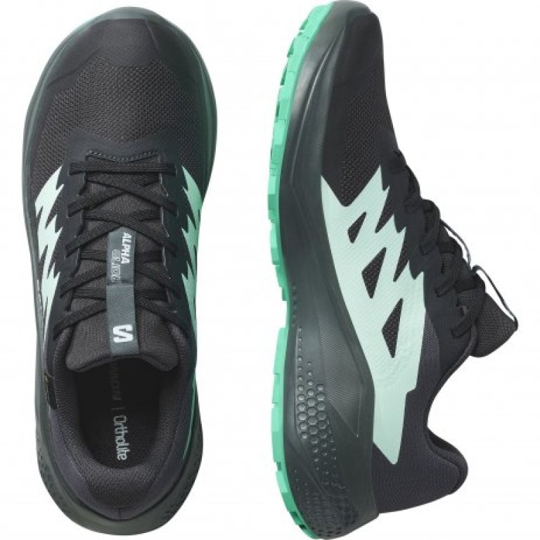 Obuv Salomon Alphaglide GTX W - černá/modrá