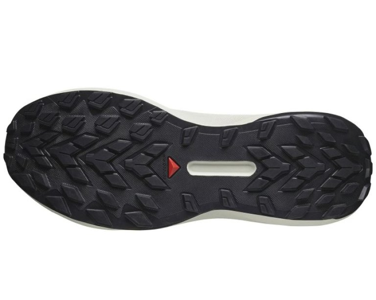Кросівки Salomon Genesis GTX M - чорно/сині