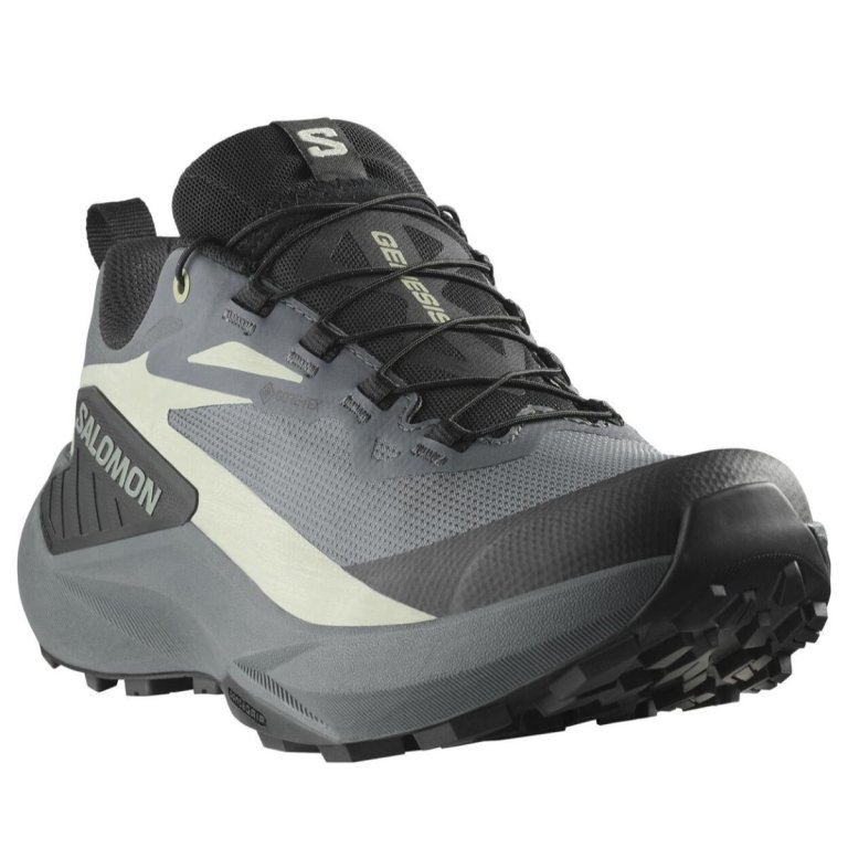 Кросівки Salomon Genesis GTX W - чорно / сіро / зелені
