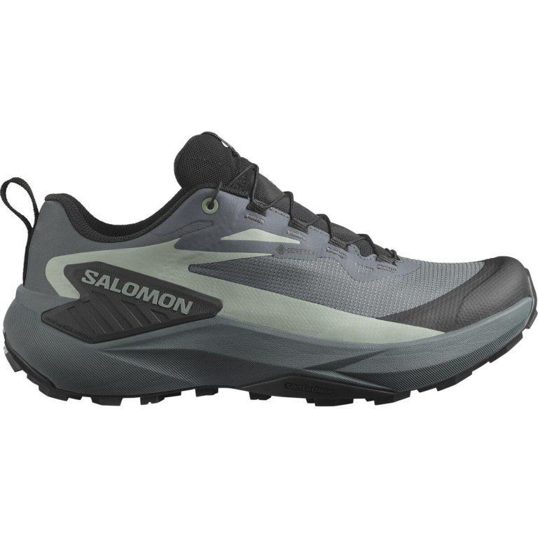 Кросівки Salomon Genesis GTX W - чорно / сіро / зелені