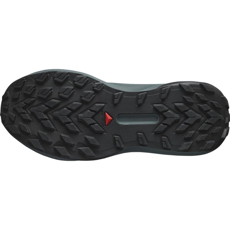 Кросівки Salomon Genesis GTX W - чорно / сіро / зелені