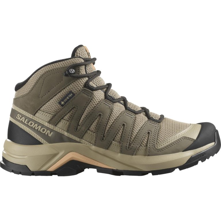 Взуття Salomon X-Adventure Recon Mid GTX W - коричневе