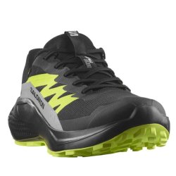 Кросівки Salomon Alphaglide GTX M - чорно / зелені