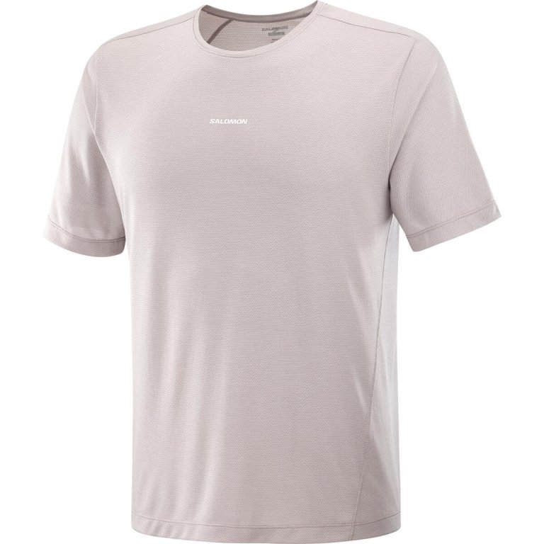Футболка Salomon SHKout Core SS Tee M - бежева