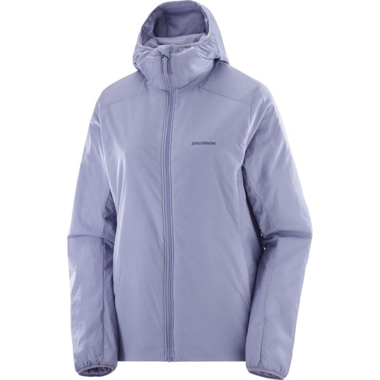 Куртка Salomon Mountain Flex Jkt HD W - синя
