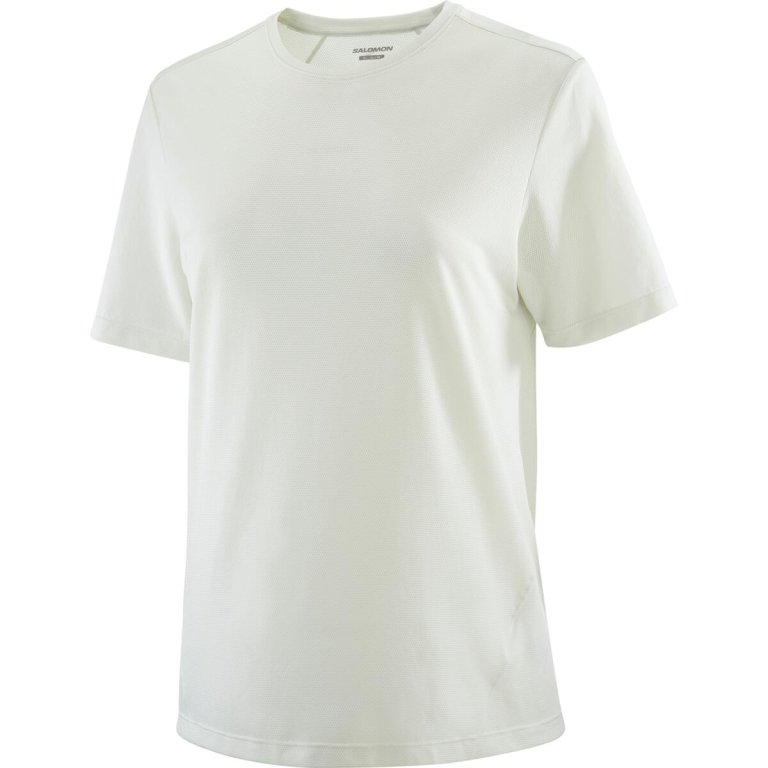 Футболка Salomon SHKout Core SS Tee W - біла