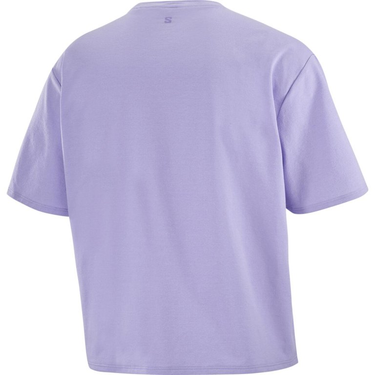 Футболка Salomon Trackline SS Tee W - фіолетова