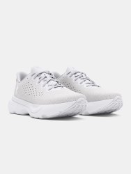 Кросівки Under Armour UA Infinite