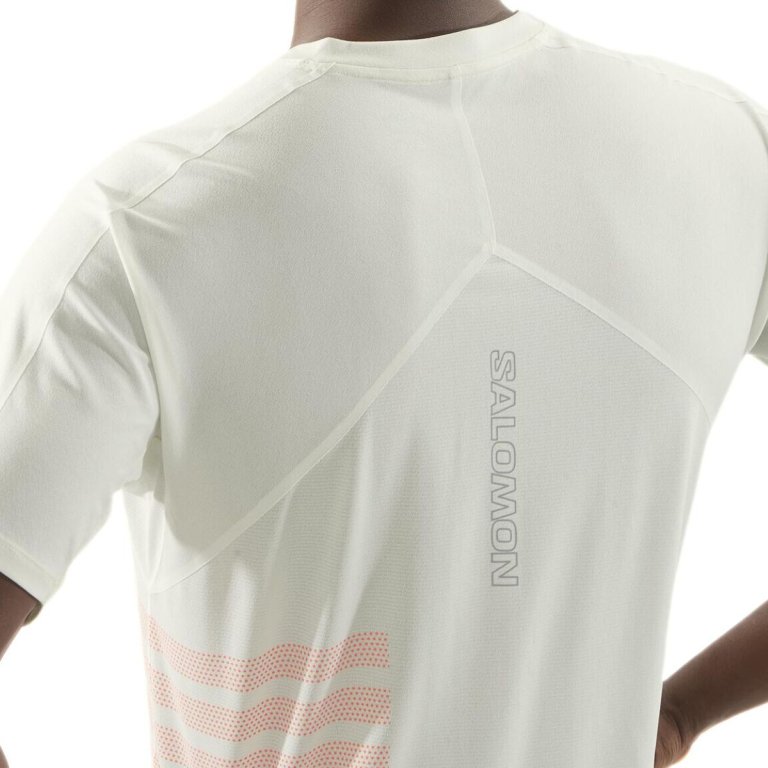 Футболка Salomon Sense Aero SS Tee GFX M - біла