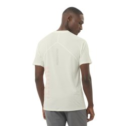 Футболка Salomon Sense Aero SS Tee GFX M - біла