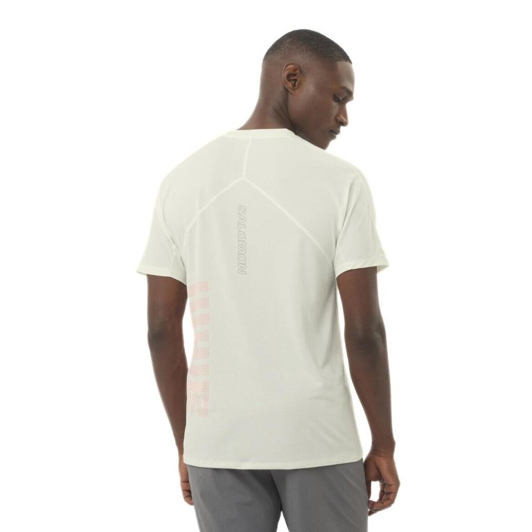 Футболка Salomon Sense Aero SS Tee GFX M - біла