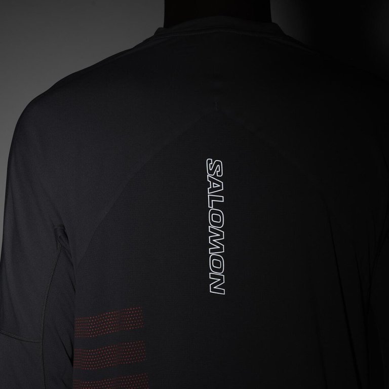 Футболка Salomon Sense Aero LS Tee GFX M - сіра