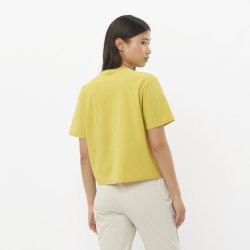 Футболка Salomon Trackline SS Tee W - жовта