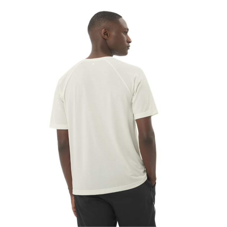 Футболка Salomon SHKout Core SS Tee M - бежевий