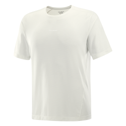 Футболка Salomon SHKout Core SS Tee M - бежевий