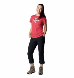 Штани Columbia Leslie Falls™ Pant II W - чорний (збільшена довжина)