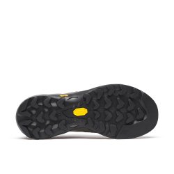Взуття Merrell Capra 2 GTX W - сіре