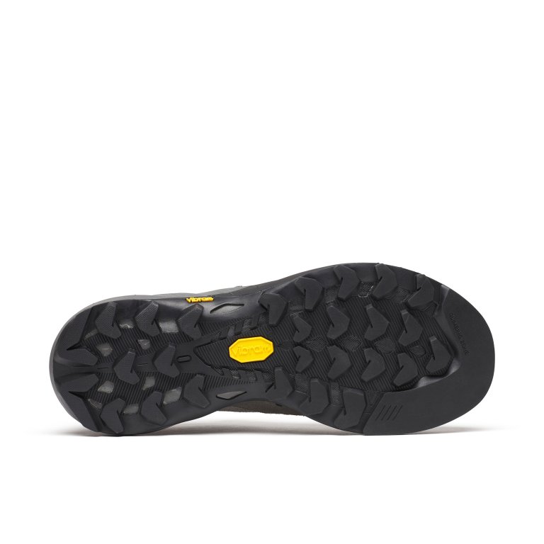 Взуття Merrell Capra 2 GTX W - сіре