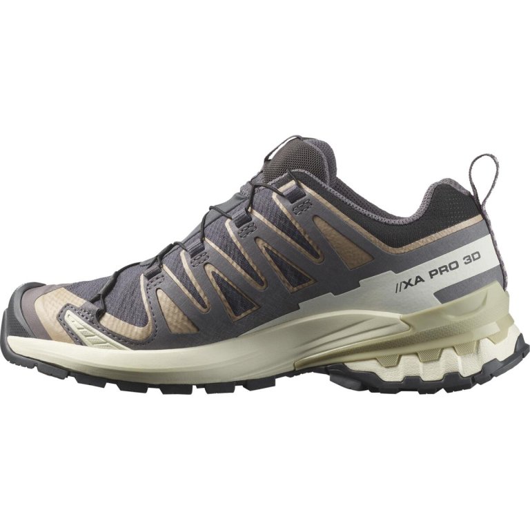 Кросівки Salomon Xa Pro 3D V9 GTX W - фіолетові