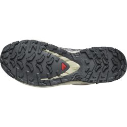 Кросівки Salomon Xa Pro 3D V9 GTX W - фіолетові