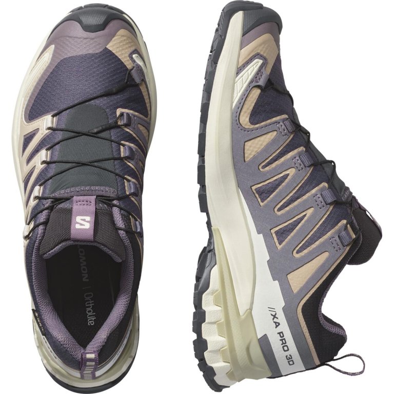 Кросівки Salomon Xa Pro 3D V9 GTX W - фіолетові