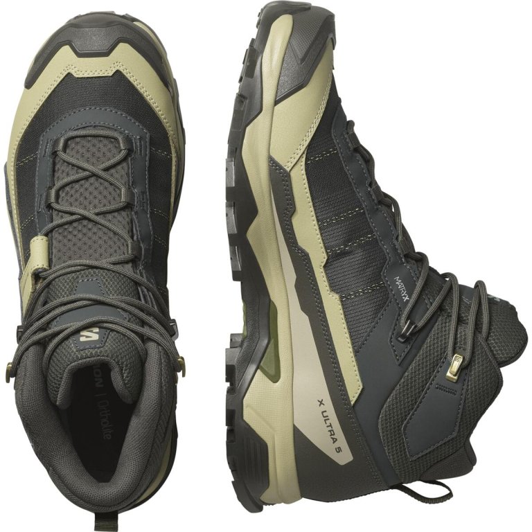 Взуття Salomon X Ultra 5 MID GTX M - сірий/зелений