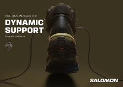 Взуття Salomon X Ultra 5 MID GTX M - сірий/зелений