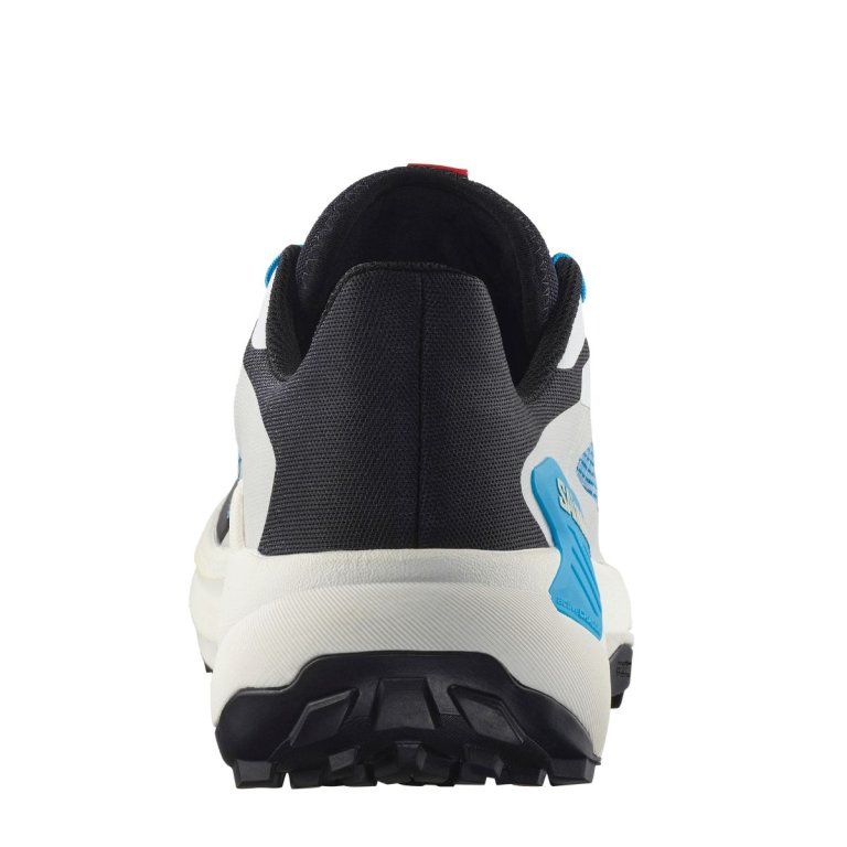 Кросівки Salomon Genesis M - білий/синій