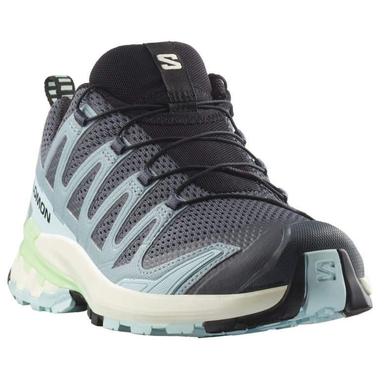 Кросівки Salomon Xa Pro 3D V9 W - сіро/сині