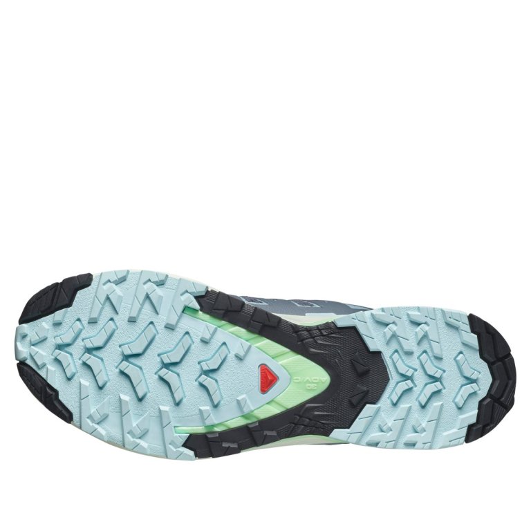 Кросівки Salomon Xa Pro 3D V9 W - сіро/сині