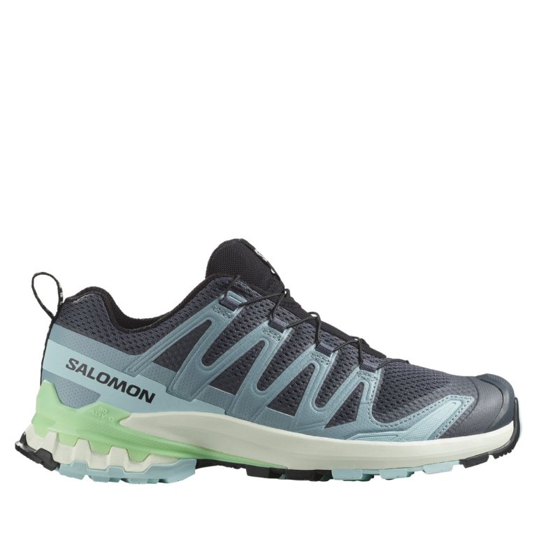 Кросівки Salomon Xa Pro 3D V9 W - сіро/сині