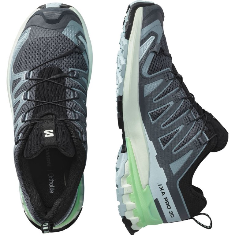 Кросівки Salomon Xa Pro 3D V9 W - сіро/сині