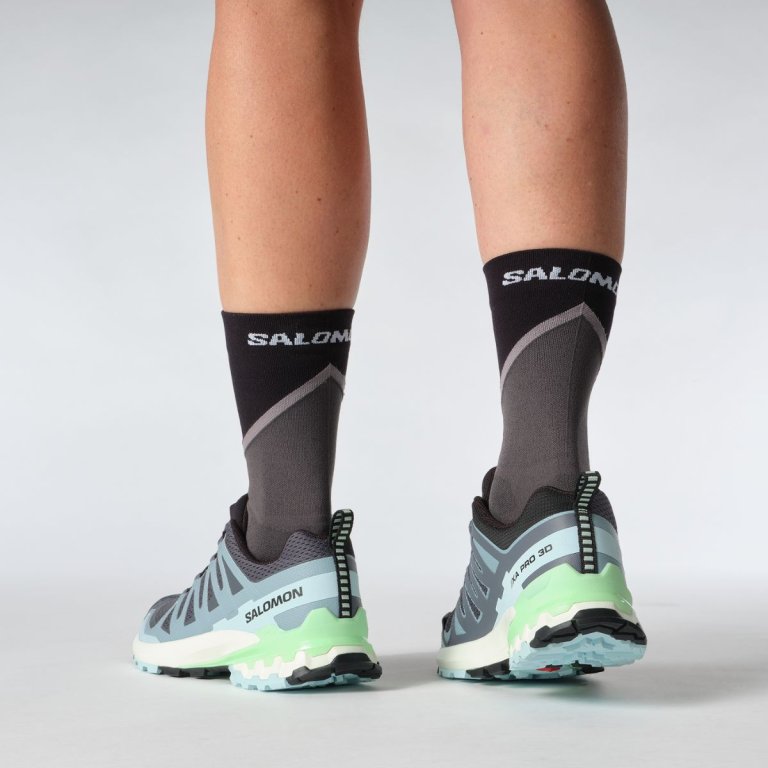 Кросівки Salomon Xa Pro 3D V9 W - сіро/сині