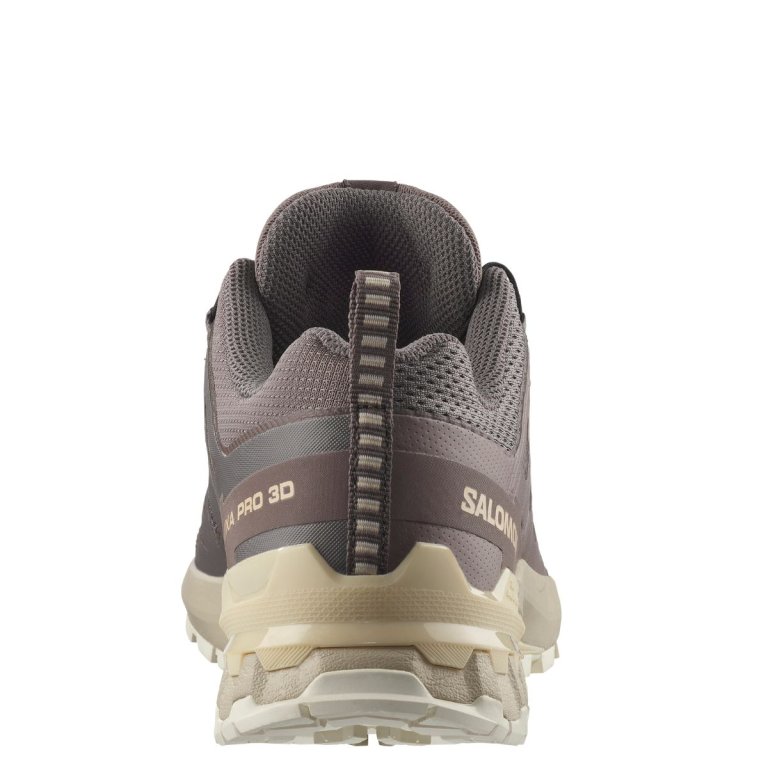 Кросівки Salomon Xa Pro 3D V9 W - коричневий