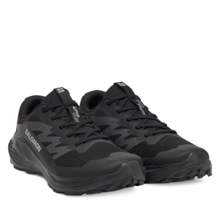 Красівки Salomon Alphaglide M - чорні