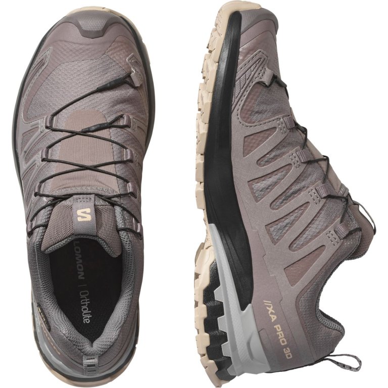 Кросівки Salomon Xa Pro 3D V9 GTX W - коричневий / чорний