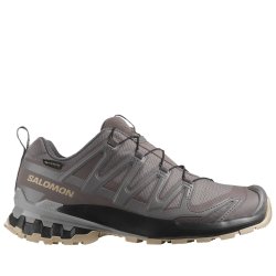 Кросівки Salomon Xa Pro 3D V9 GTX W - коричневий / чорний