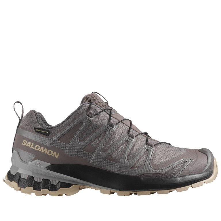 Кросівки Salomon Xa Pro 3D V9 GTX W - коричневий / чорний