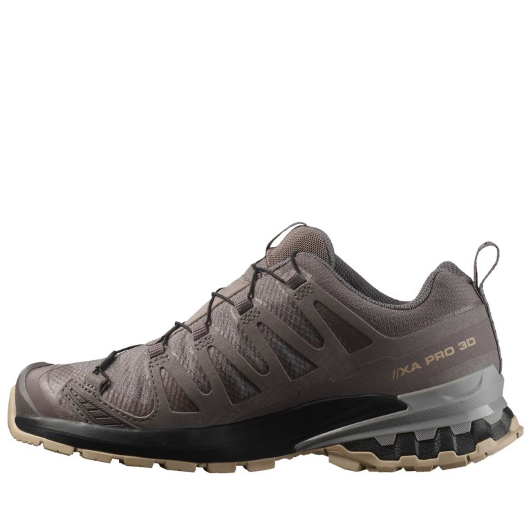 Кросівки Salomon Xa Pro 3D V9 GTX W - коричневий / чорний